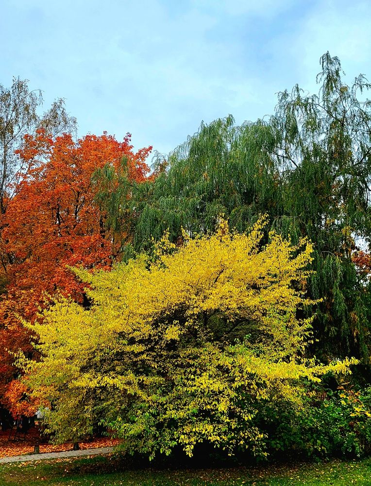 Photograph by Dmitrij Zykunov