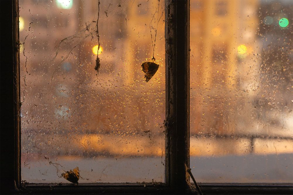 Photograph by Лактионов Анатолий