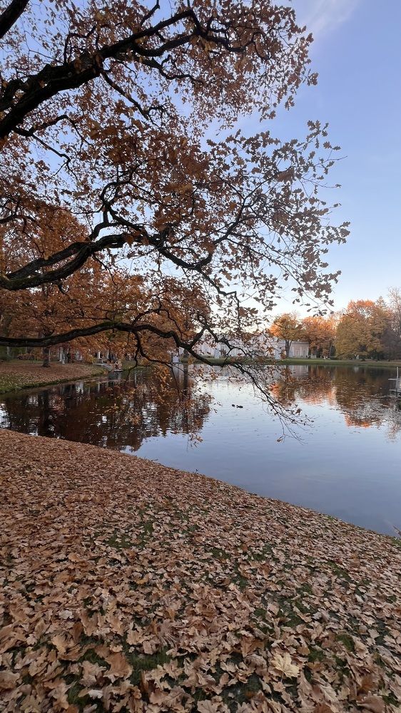 Photograph by Анна Болучевская