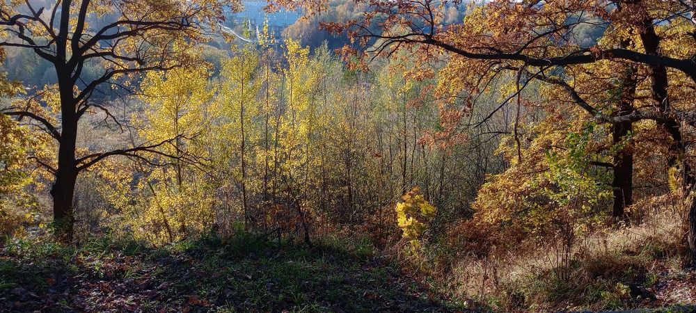 Photograph by Андрей Осмоловский