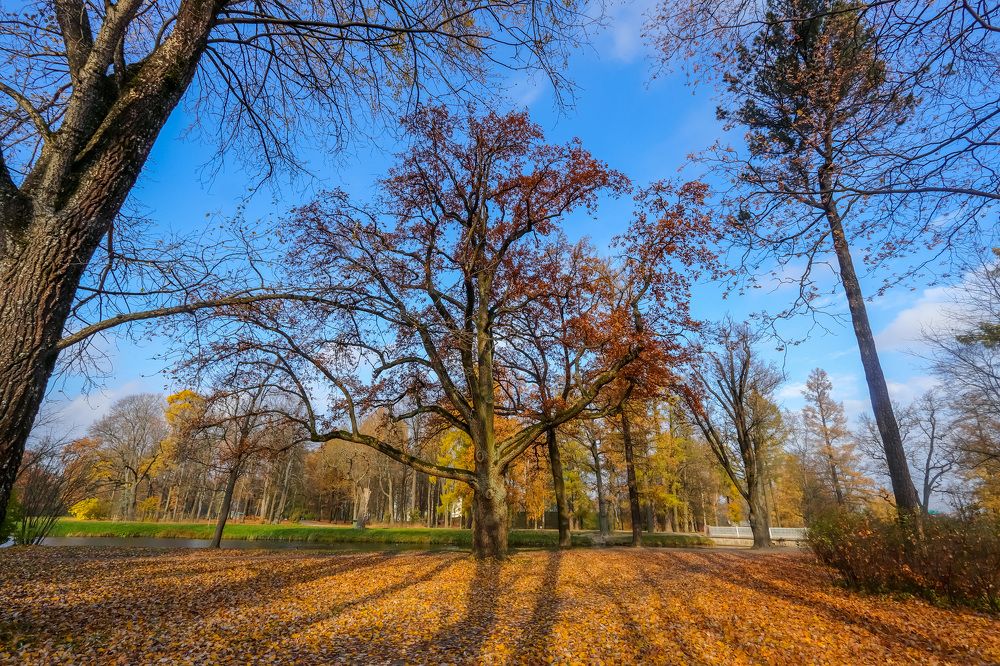 Photograph by Коровин Анатолий Владимирович