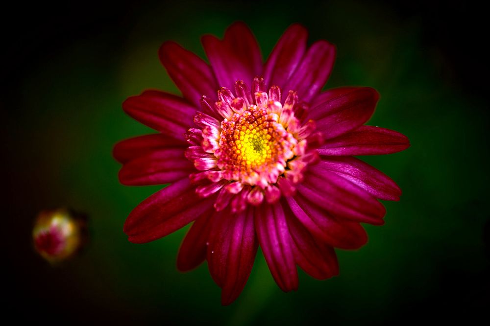 Фотография автора David Solodar