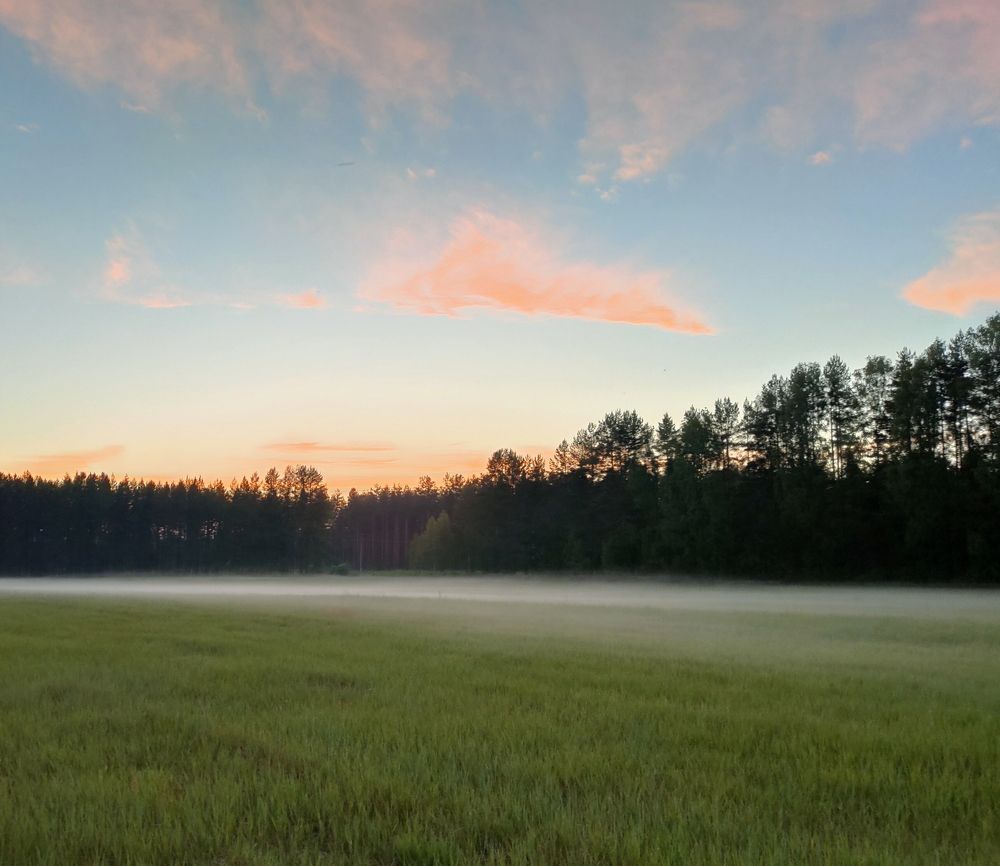 Фотография автора Светлана Смирнова