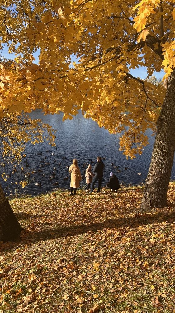 Photograph by Анна Болучевская