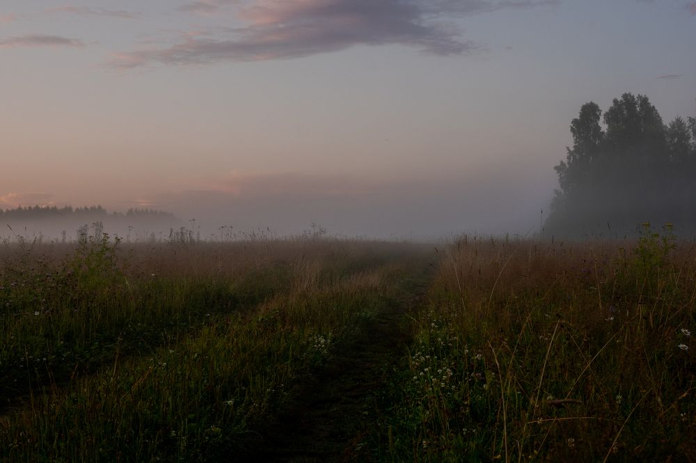 Photograph by Евгений Калагаев