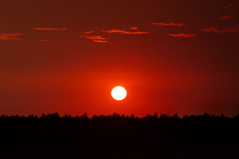 Photograph by Victoria Popkova