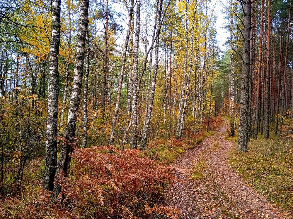 Photograph by Юрий Яковлев