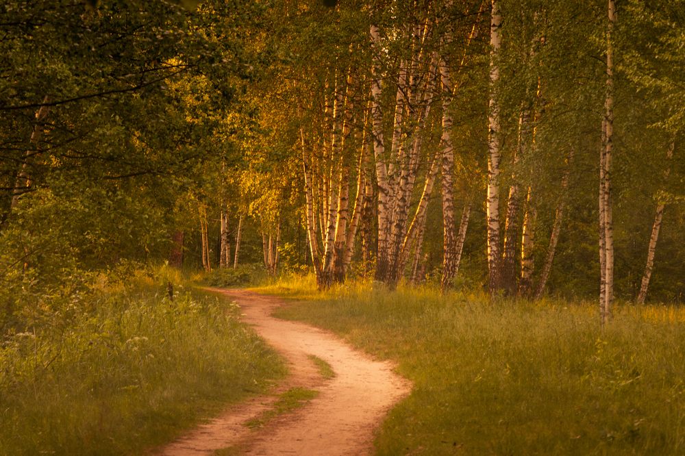 Photograph by Victoria Popkova