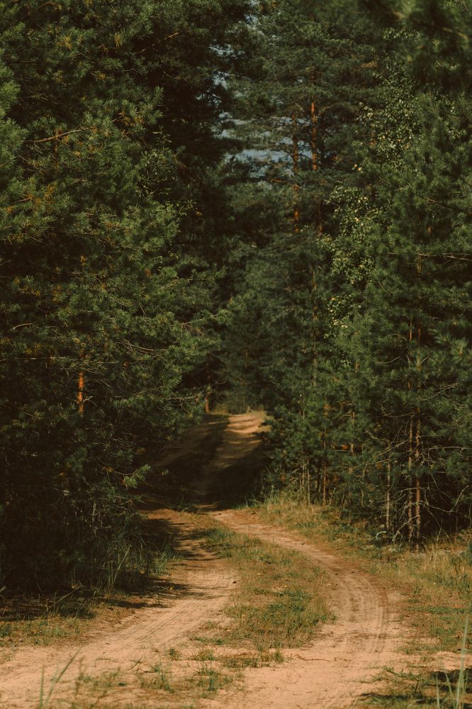 Photograph by Victoria Popkova