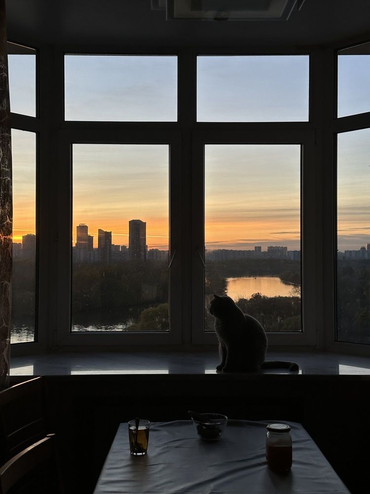 Photograph by Светлана Ионова