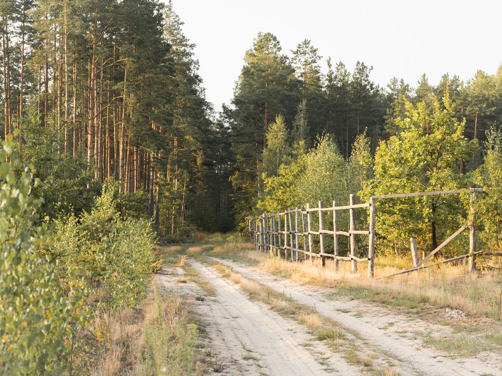 Photograph by Людмила