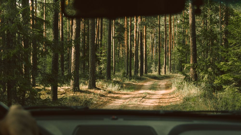 Photograph by Victoria Popkova