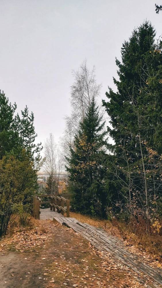 Photograph by Татьяна Добродомова