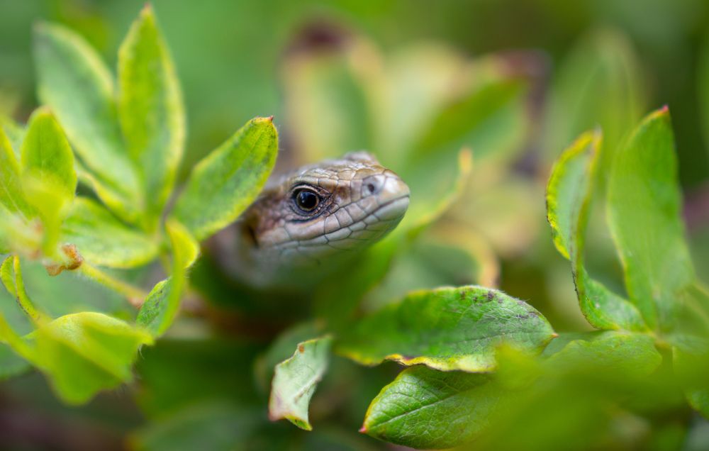 Photograph by Максим Жухлистов
