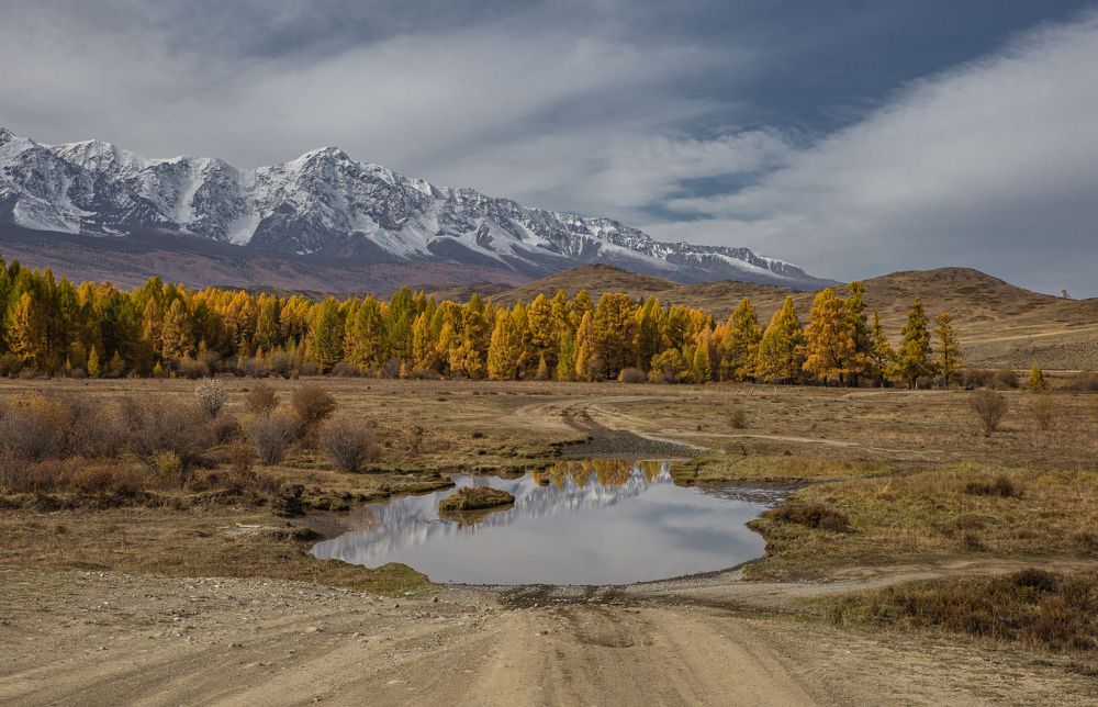 Photograph by Елена Павлова