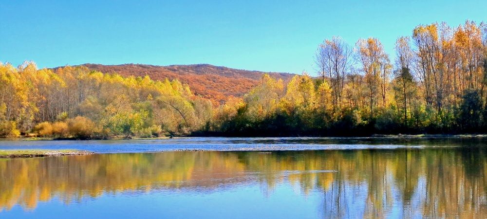 Photograph by Александра Насырова