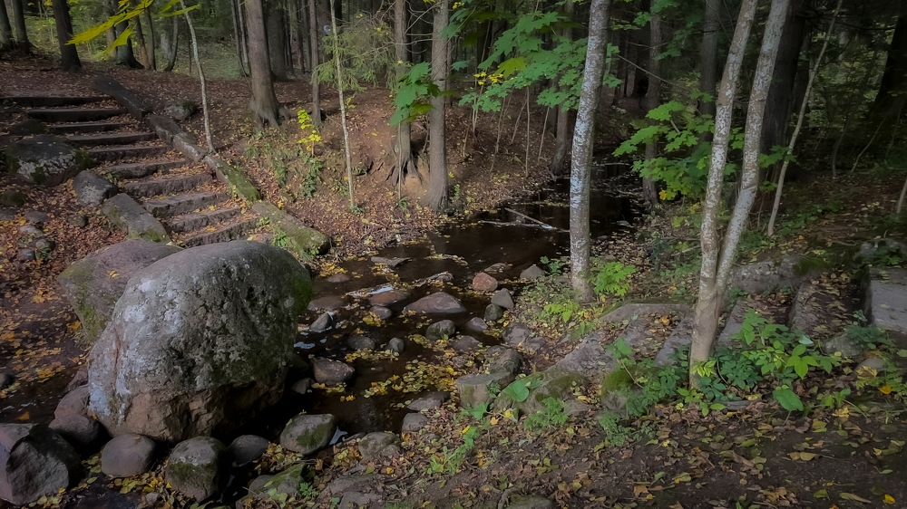 Фотография автора Sergey Sokolovsky