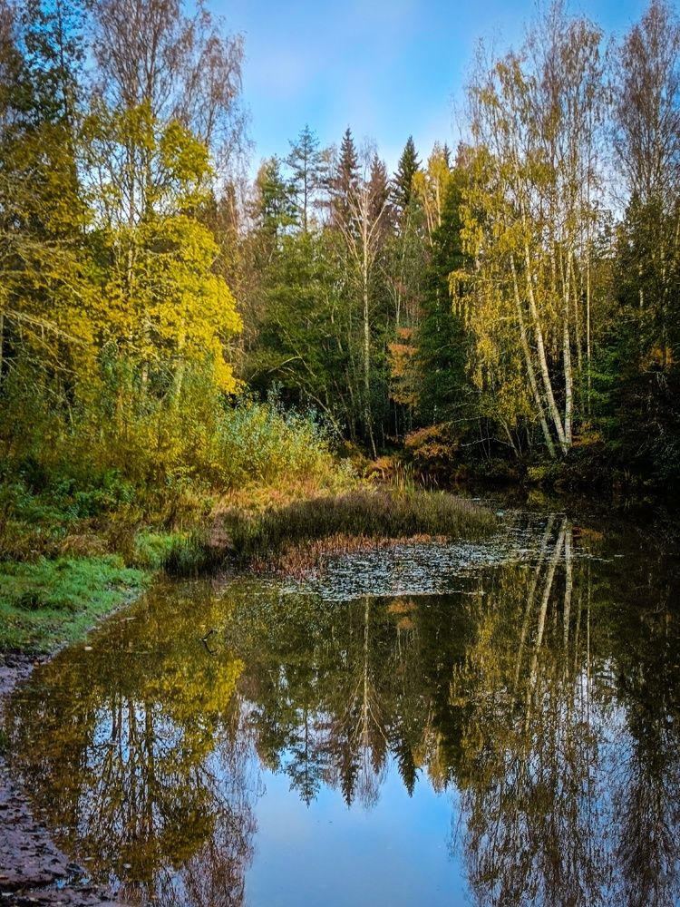 Photograph by Andrey Purtov