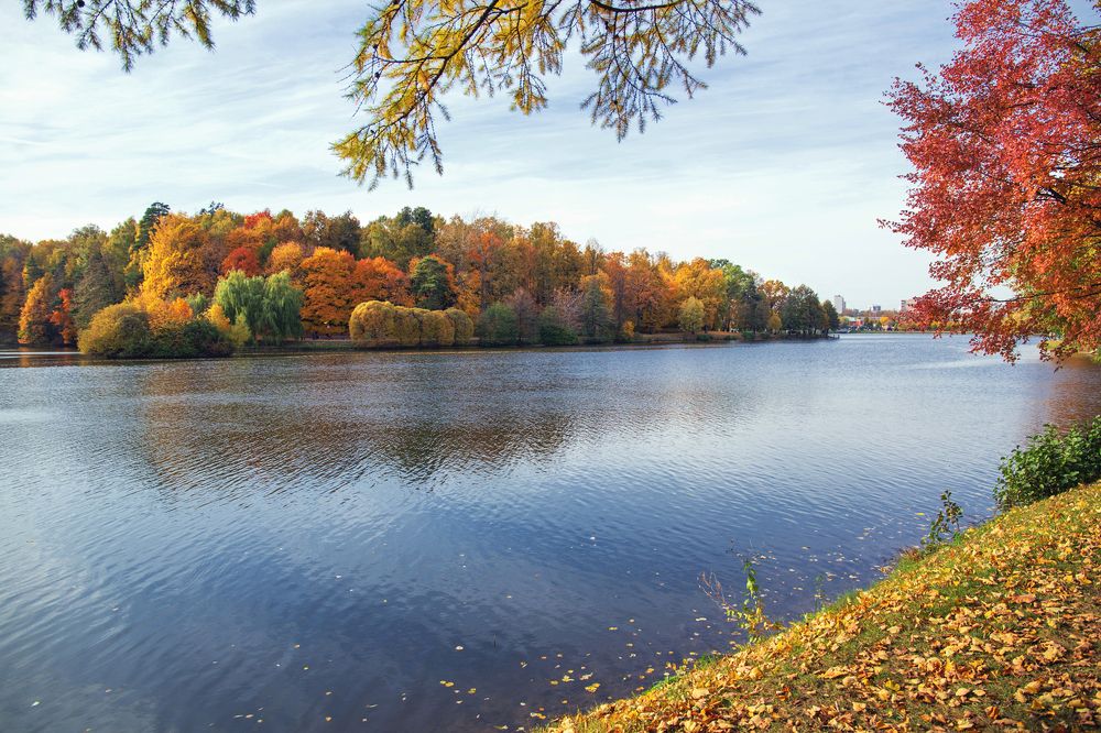 Фотография автора Aleksei Kartashov