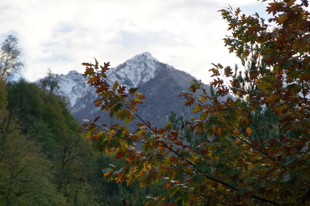 Photograph by Артём Пархоменко