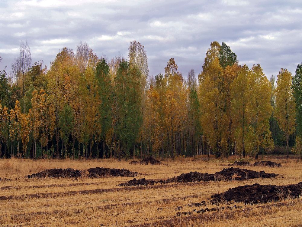 Photograph by Farid Ataei