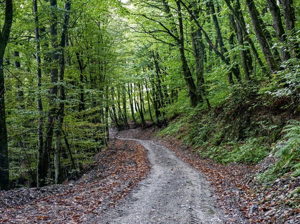 Photograph by Алексей Логинов