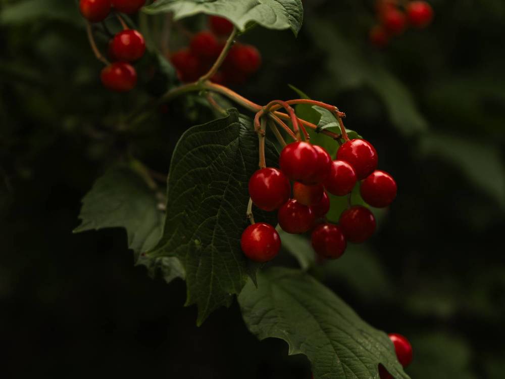 Photograph by Людмила