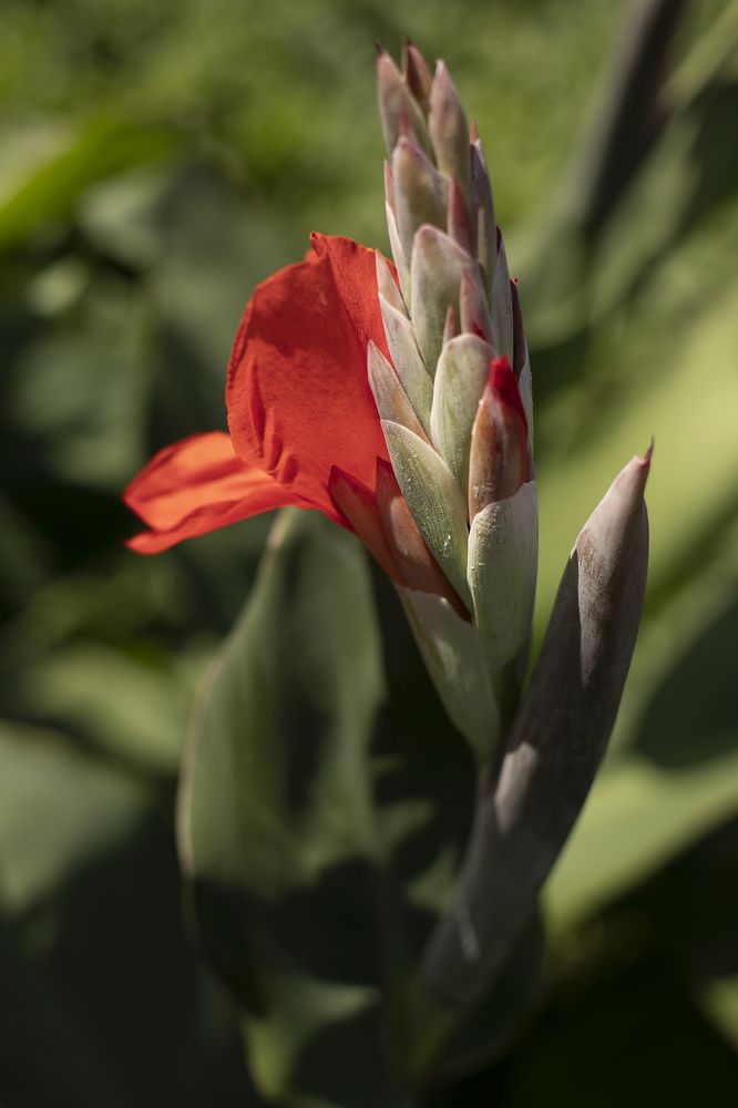 Photograph by Татьяна Дрозд