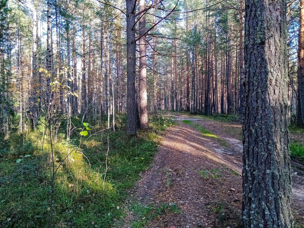 Photograph by Оксана Подъельская