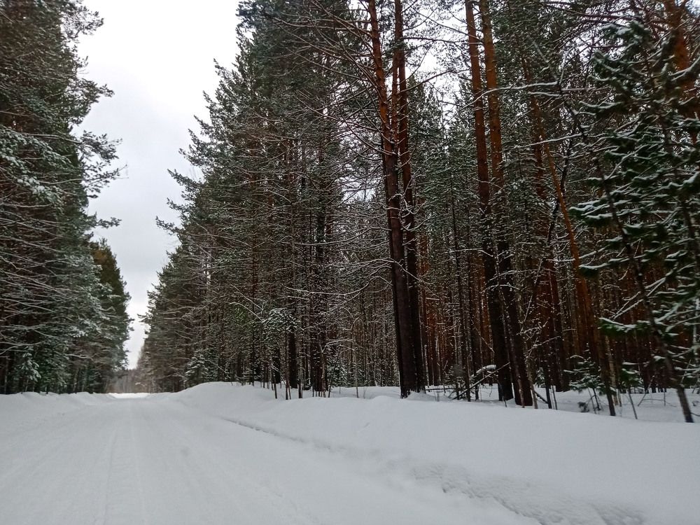 Photograph by Оксана Подъельская