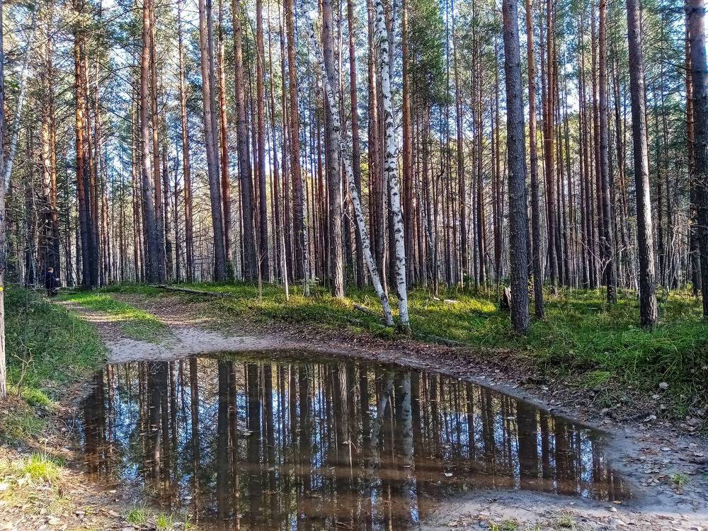 Photograph by Оксана Подъельская