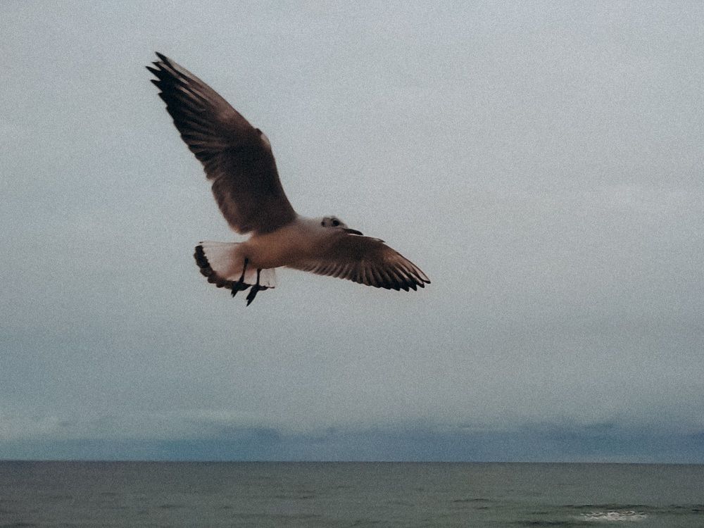 Photograph by Анастасия Дынина