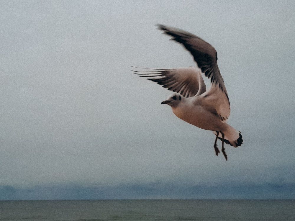 Photograph by Анастасия Дынина