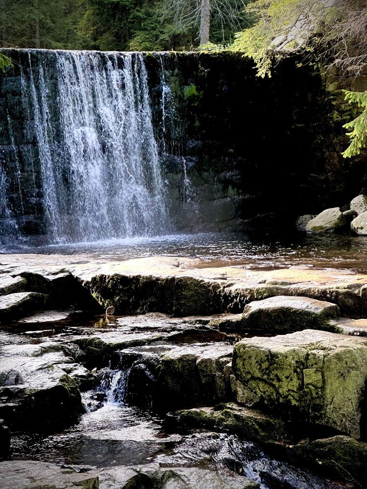 Photograph by Наумова Татьяна