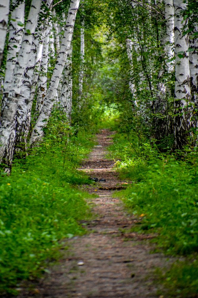 Photograph by Ольга Андронова