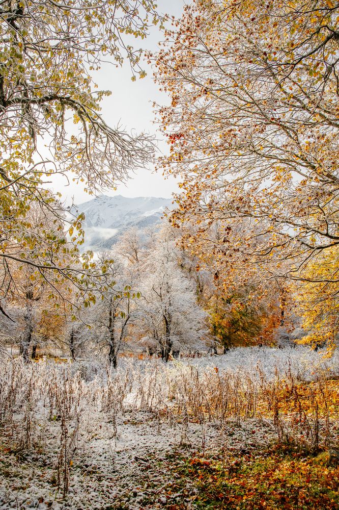 Photograph by Мария Раздорова