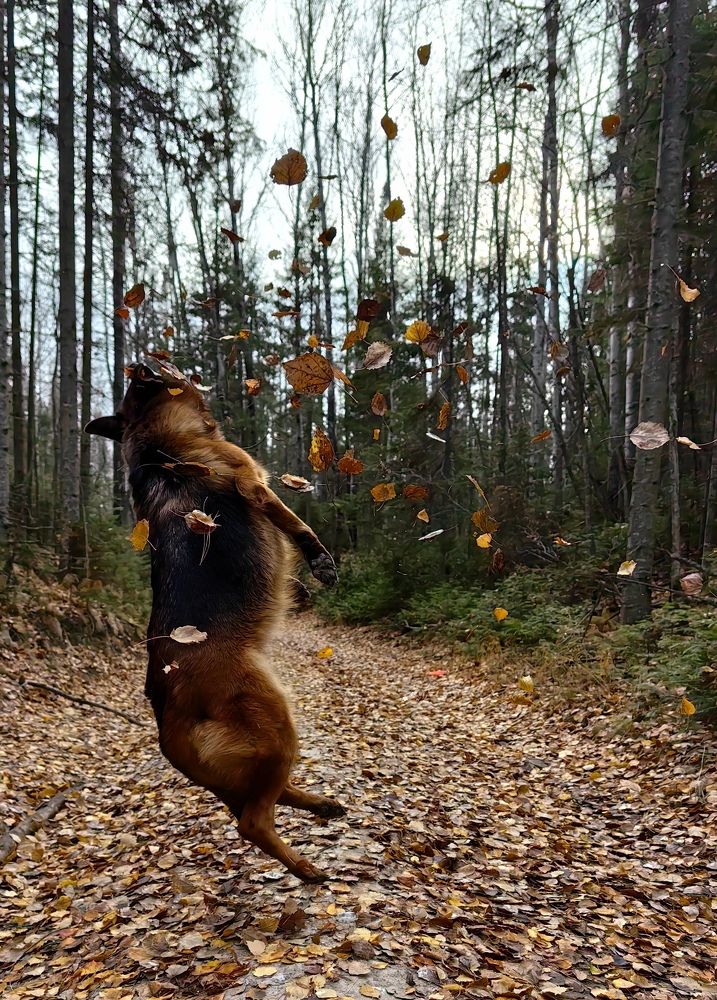 Photograph by Ольга Адольф