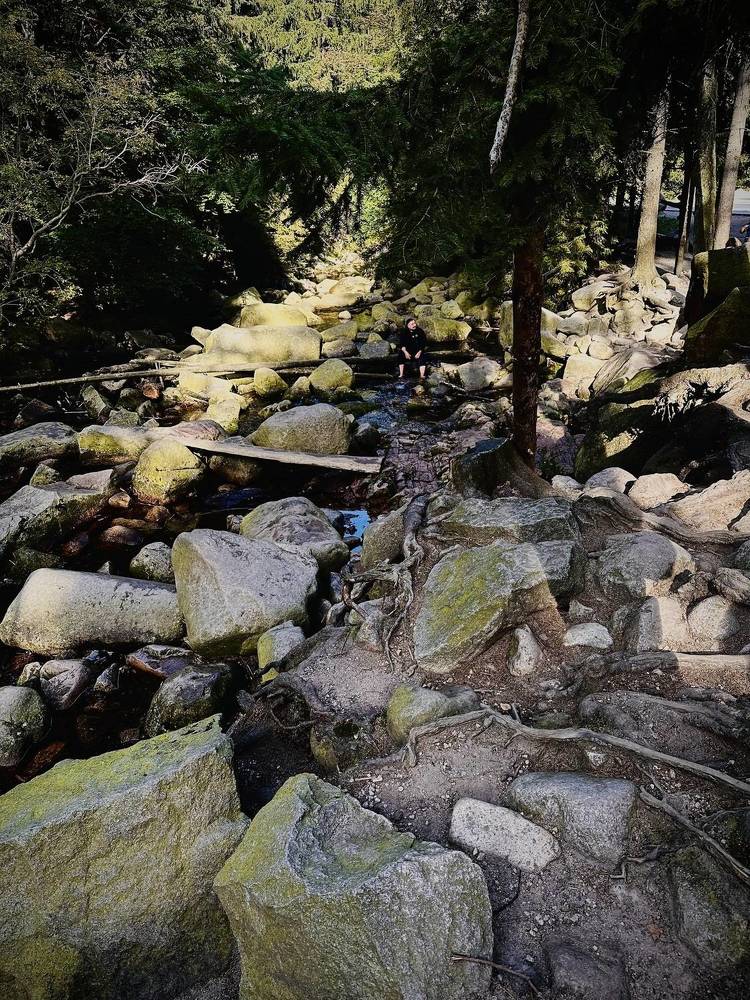 Photograph by Наумова Татьяна