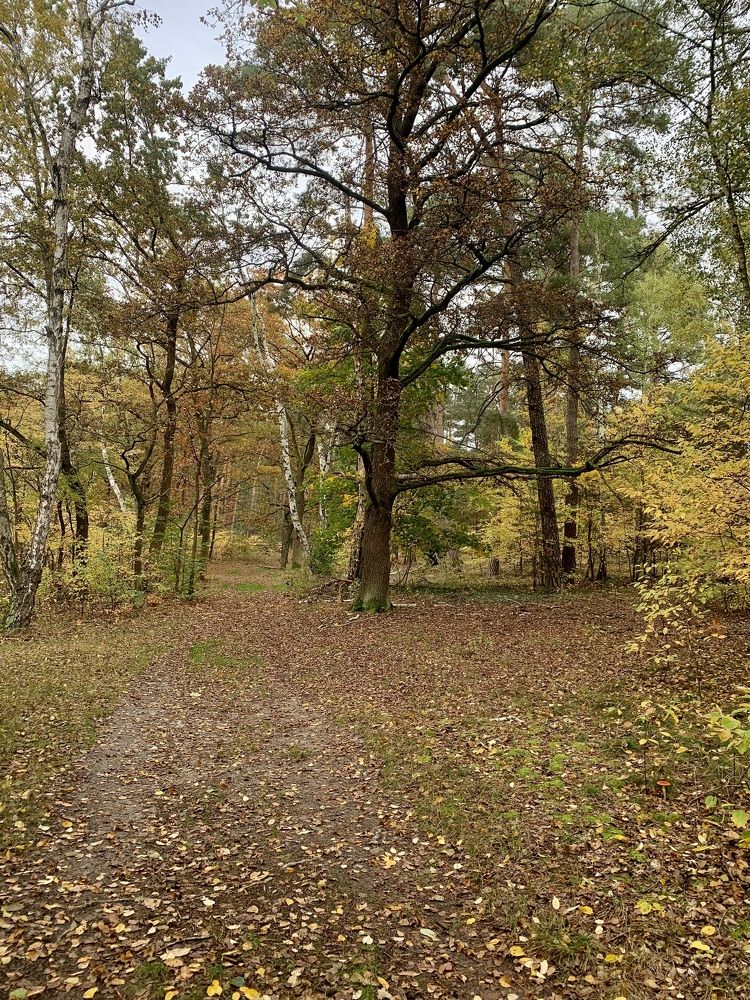 Photograph by Александр Чернега