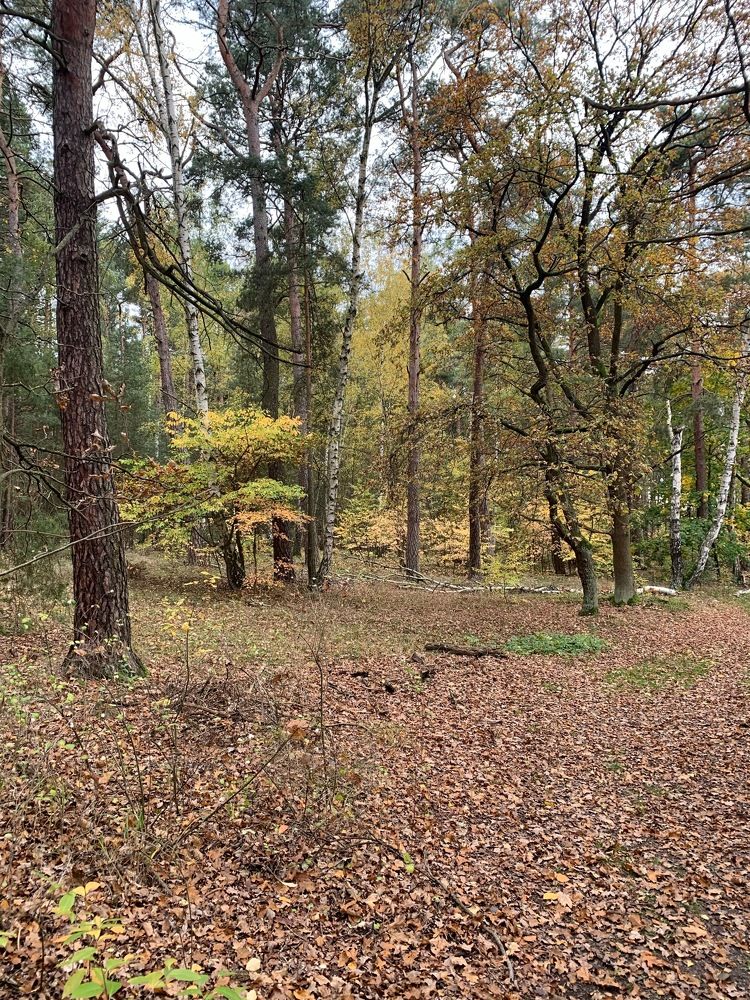 Photograph by Александр Чернега