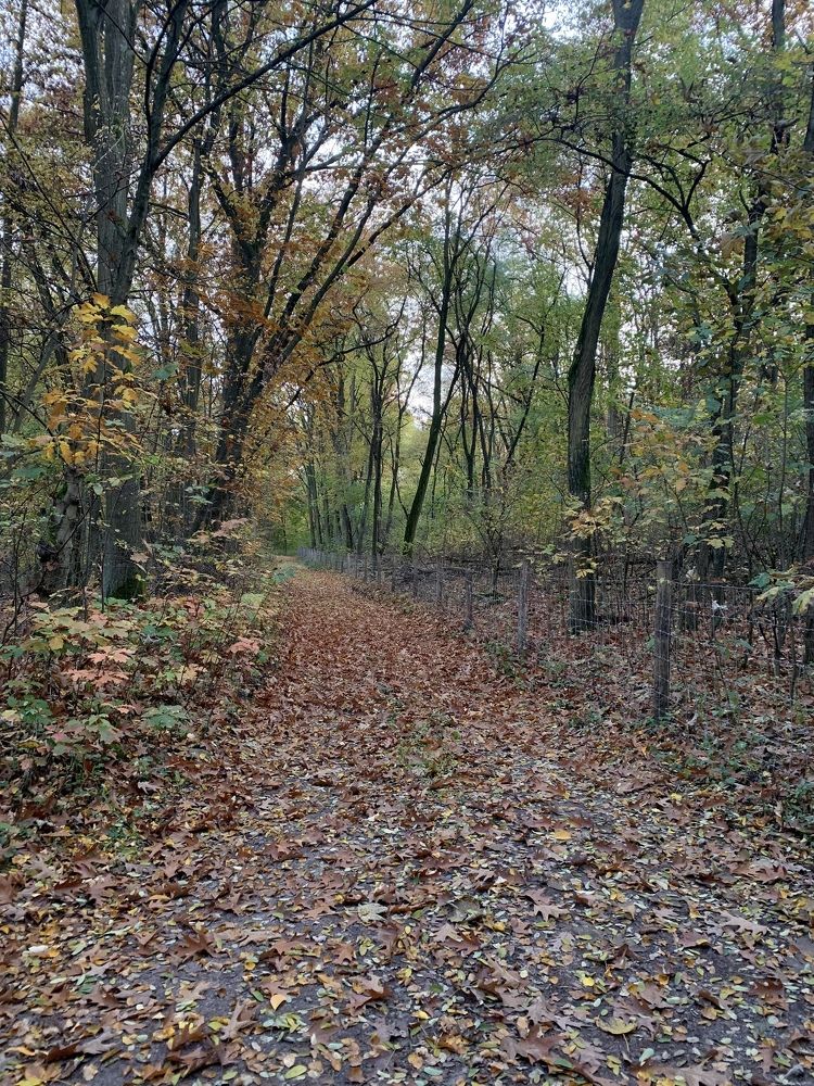 Photograph by Александр Чернега