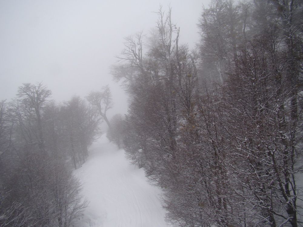 Фотография автора OSMIR ZANETTE