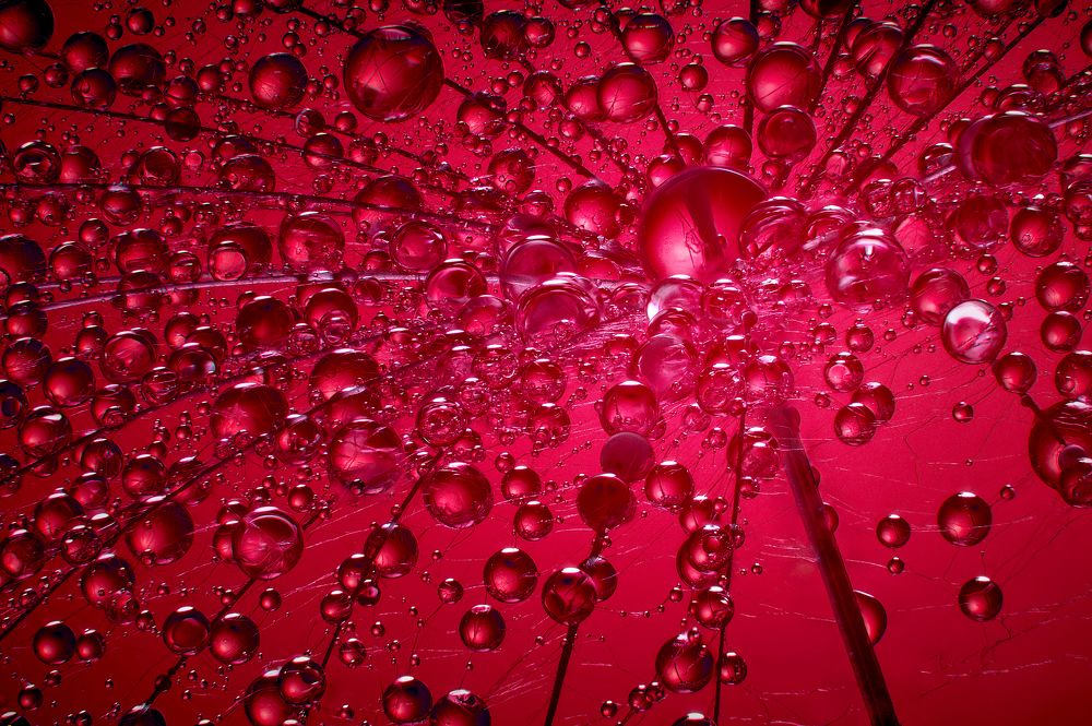 Photograph by Boris Bekelman