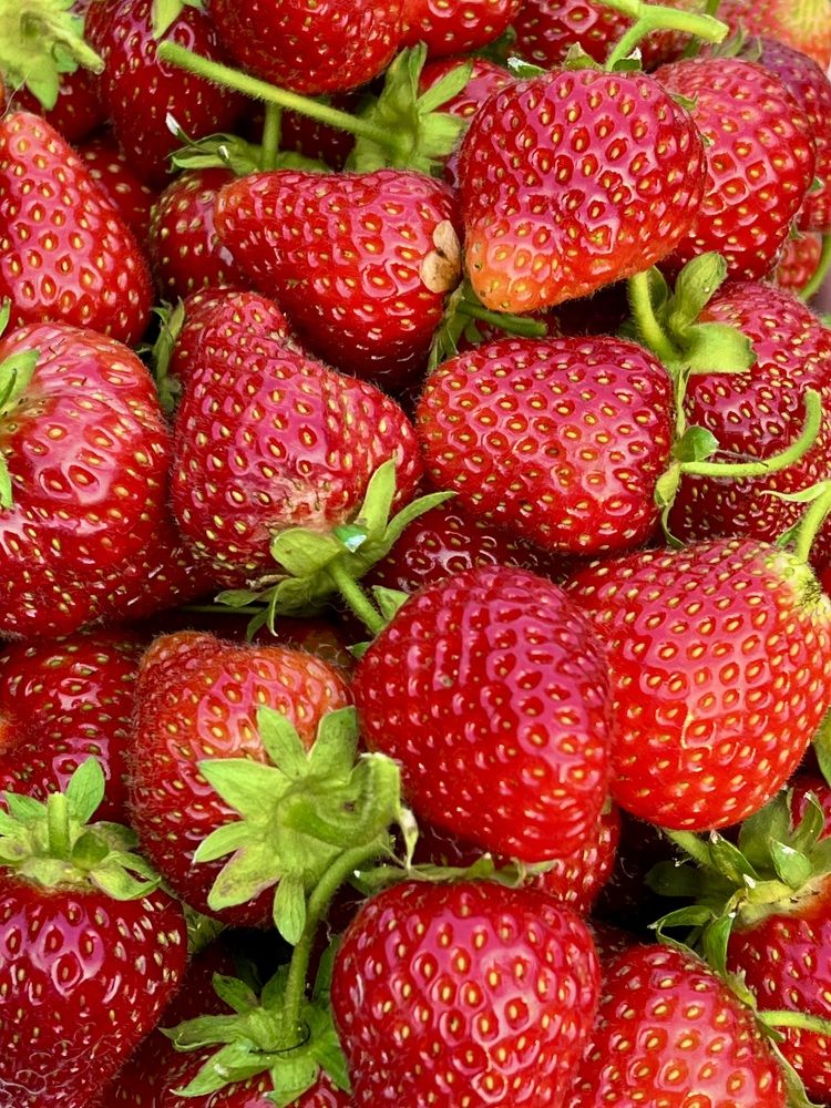 Photograph by Александр Мокров