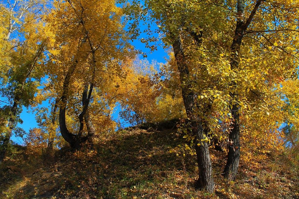 Photograph by Курочкина Диана