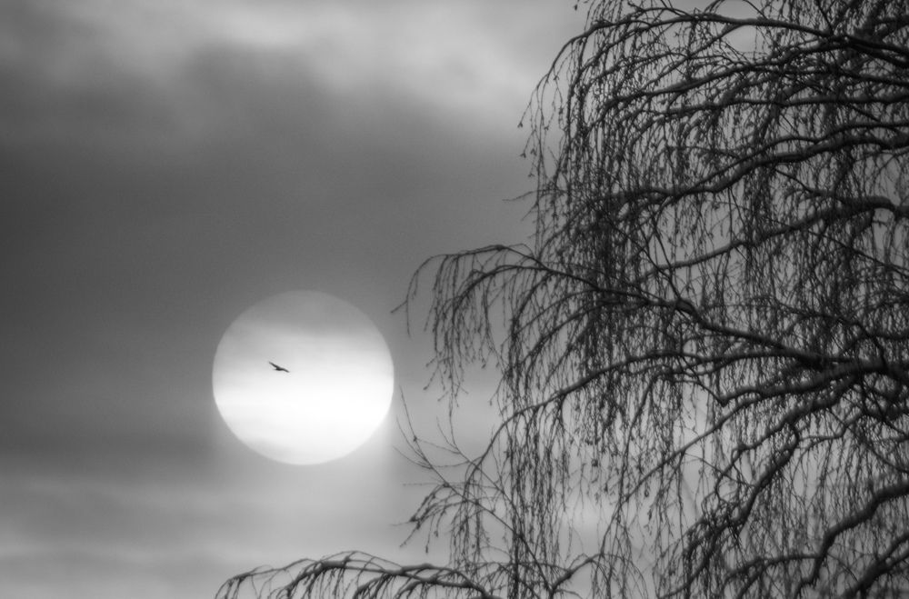 Photograph by Татьяна Романова