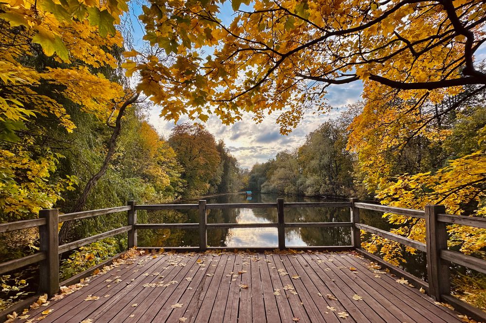 Photograph by Полина Самойлова