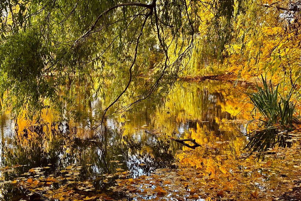 Photograph by Полина Самойлова