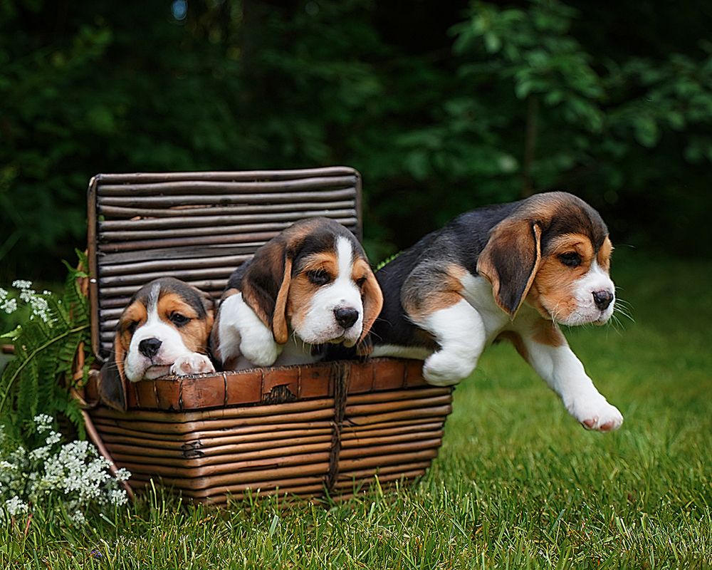 Photograph by Anna Sindikayeva