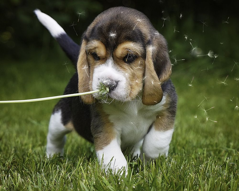 Photograph by Anna Sindikayeva